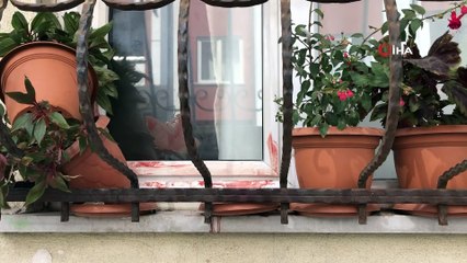 Esenyurt’ta koca dehşeti: Tartıştığı karısını ve kayınvalidesini defalarca bıçakladı