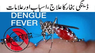 Dengue Fever || Dengue fever , Symptoms and its Protection || ڈینگی بخار کی علامات،اسباب اور علاج