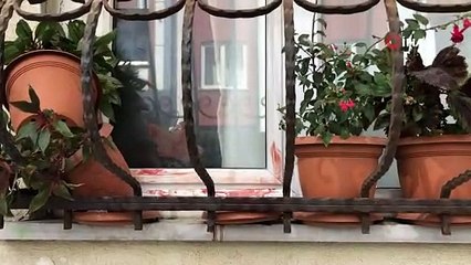 Kadına şiddet: Karısını 10 yerinden bıçakladı, kayınvalidesini yaraladı, teslim oldu