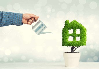 Wie wird man ein Öko-Bürger?