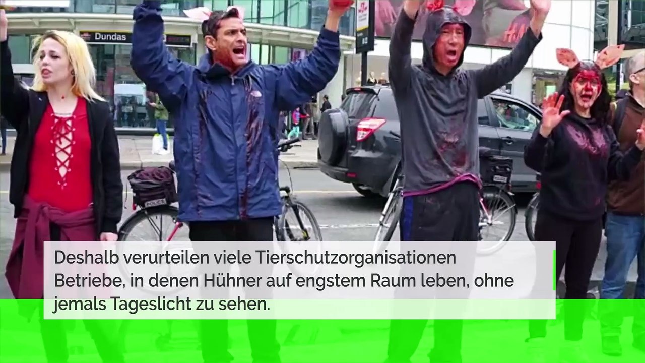 Konsumgewohnheiten und Tiermissbrauch