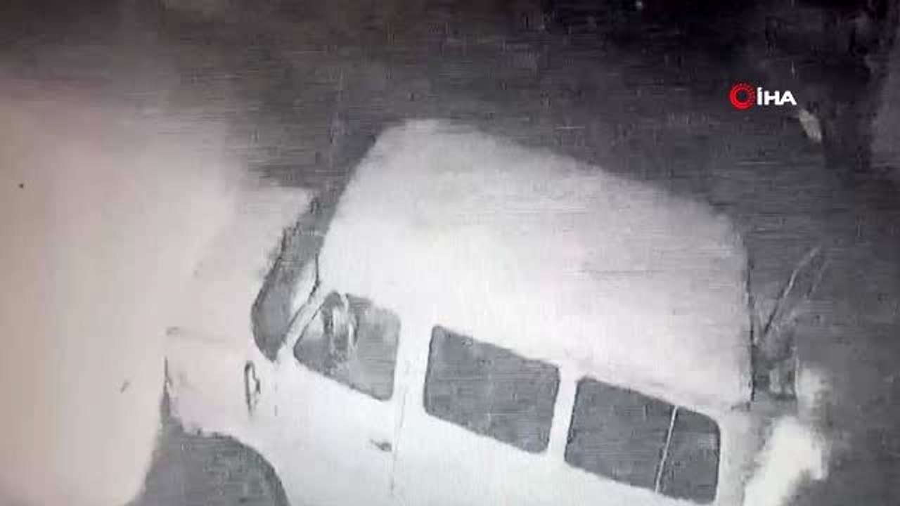 Kamerada köpekte hırsızlara engel olamadı