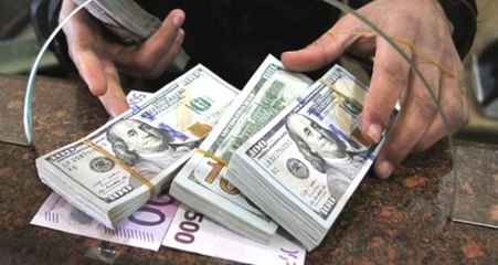 Milyonerler 7 ayda 83,4 milyar liralık döviz aldı