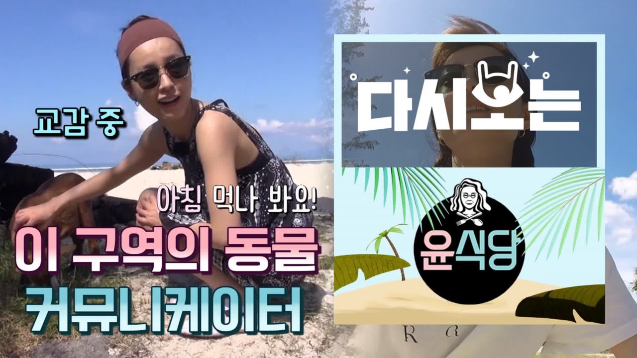 [#윤식당1] 볼수록 짱신기 ㅋㅋㅋㅋ 발리 동물은 다 만나고 온 듯 애니멀 커뮤니케이터 윰블리♥ | #다시보는윤식당 | #Diggle
