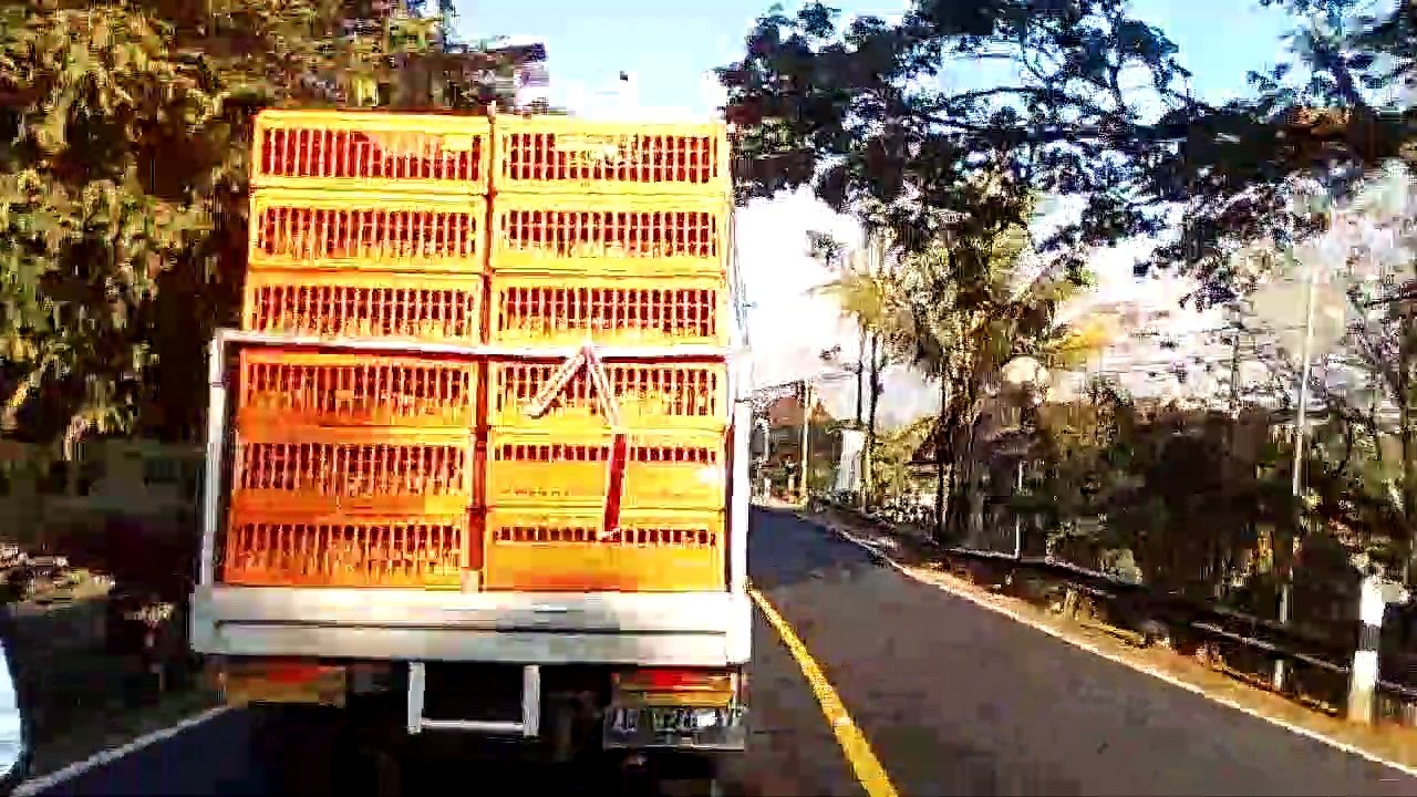 special  use  junk  damage   camera