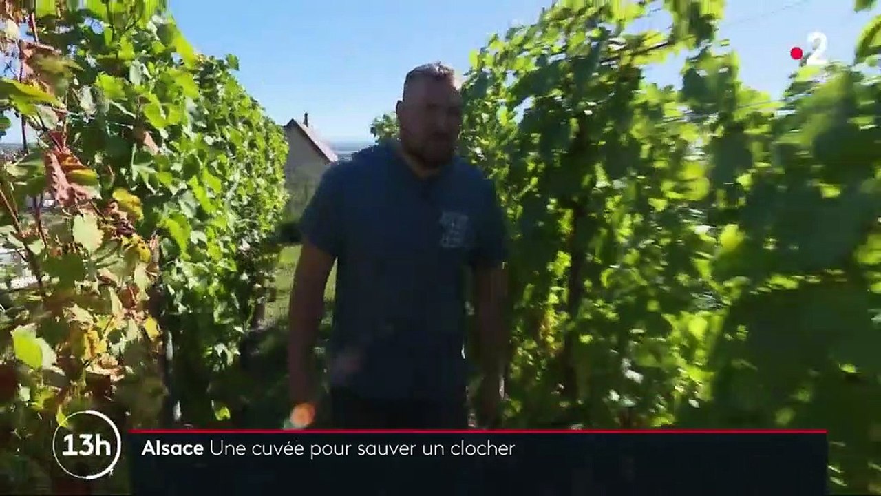 Alsace : une cuvée de vin pour sauver le clocher