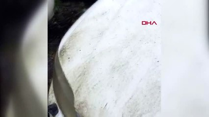 Çalınan aracını 12 yıl sonra otoparkta buldu.