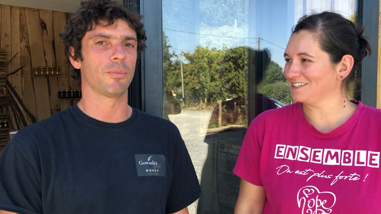 Des apiculteurs plantent des arbres pour sauver les abeilles