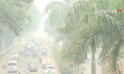 Lagi Kabut Asap, Penegakan Hukum Tumpul?