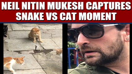 Neil Nitin Mukesh posts video showing four cats fight a snake, video viral | Oneindia News