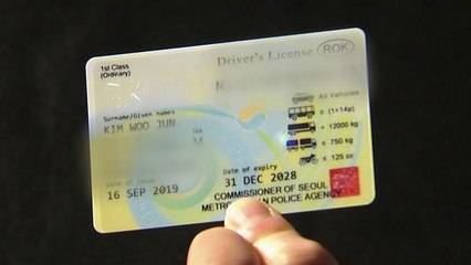 영문면허증 발급 시작...국제면허증 없이도 운전 가능 / YTN