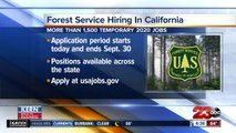 United States Department of Agriculture's Forest Service hiring for 2020 temporary positions in California