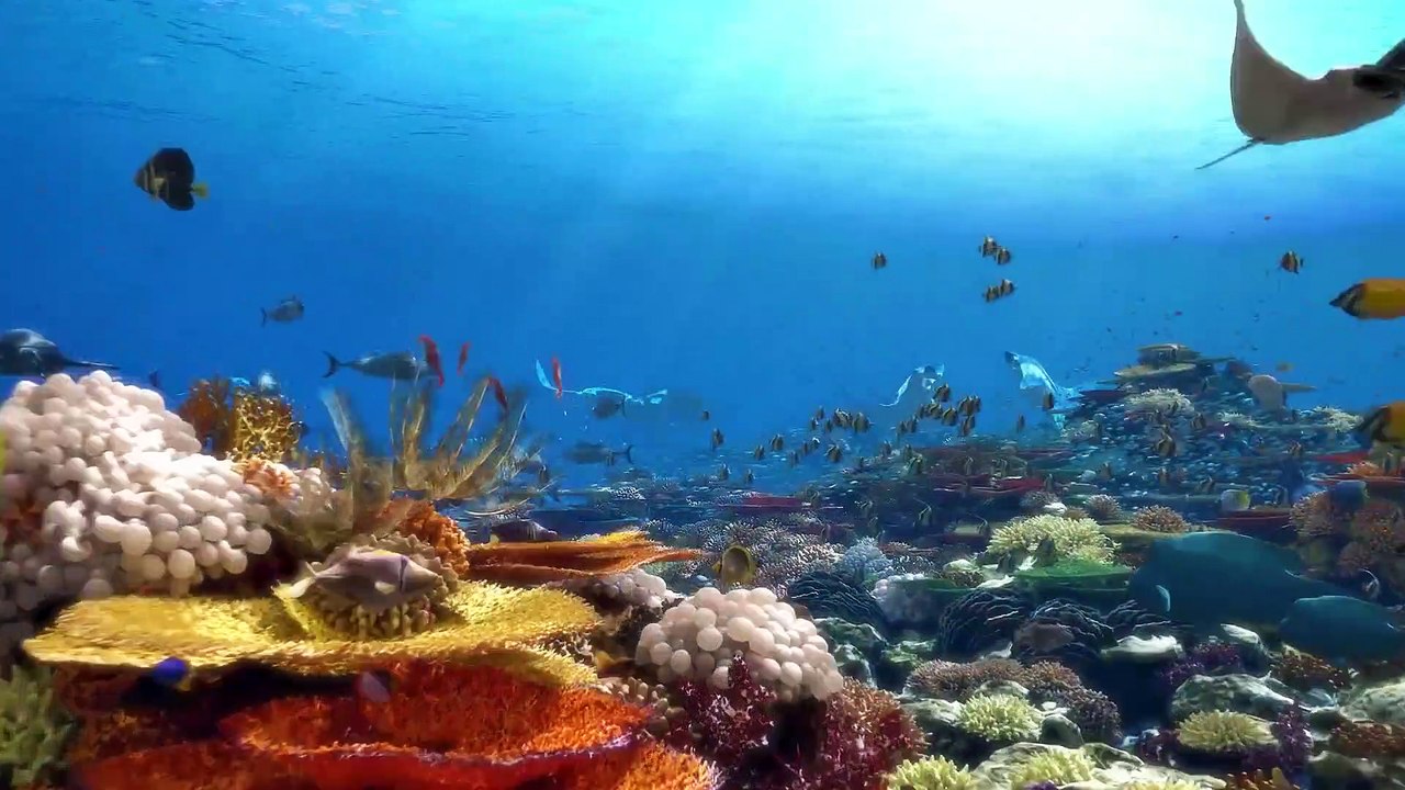 Um registro da obra de Deus de criação do mundo e de orientação e remissão da humanidade