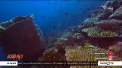 Di Gorontalo, 'Salvador Dali' Terancam Sampah Plastik
