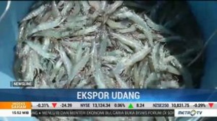 Petani Optimistis Bisa Kembalikan Kejayaan Ekspor Udang