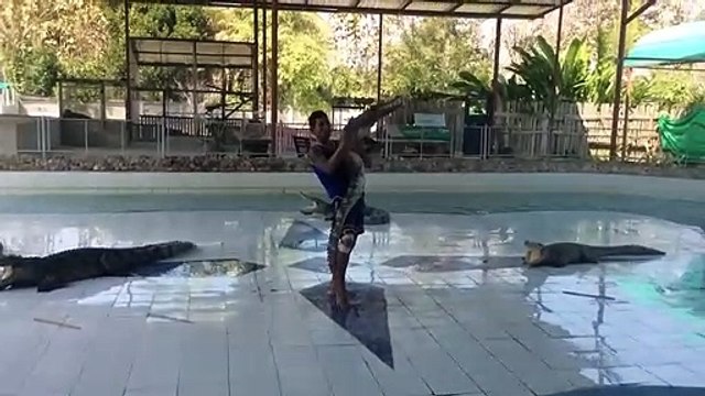 Ce dresseur s'amuse à danser avec des crocodiles... Risqué