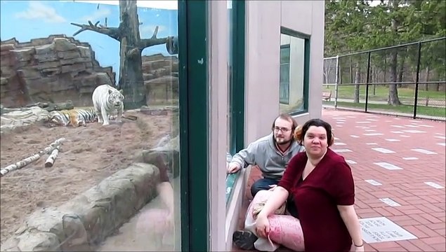 Attention au tigre... heureusement qu'il y a une vitre