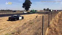 Emu-gency! Highway Patrol Gets Strange Call About Runaway Emu
