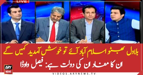 If Bilawal Bhutto came to Islamabad, we will welcome him: Faisal Vawda