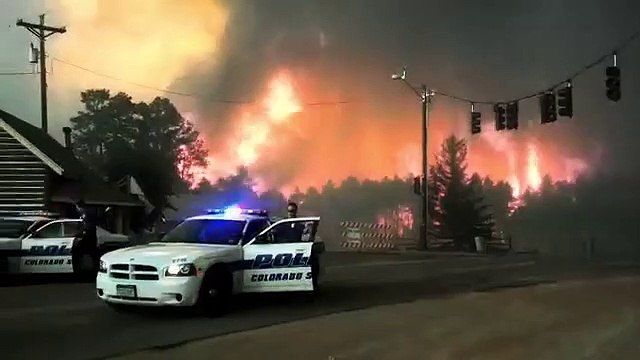 Years of Living Dangerously, Season 1 Episode 2: End of the Woods