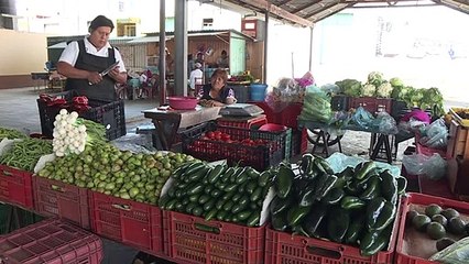 Agricultores y chefs rescatan ingredientes originales de la cocina mexicana