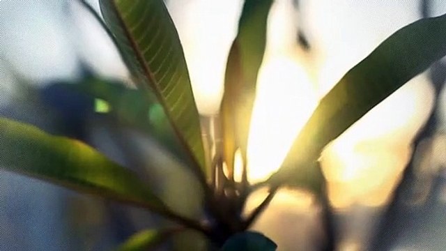 A vendre - Appartement - Enney (1667) - 2.5 pièces - 53m²