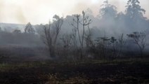 Equipes seguem combatendo incêndio na BR-369, entre Corbélia e Cascavel