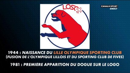 Late Football Club : Pourquoi les joueurs du LOSC sont-ils surnommés les "Dogues" ?