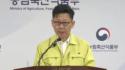 아프리카돼지열병 관련 농림축산식품부 장관 브리핑 / YTN