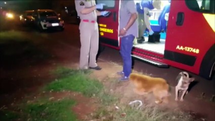 Ao voltar da aula, moradora encontra homem caído em frente à residência e chama o Siate