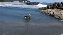 海遊びは楽しい♪2