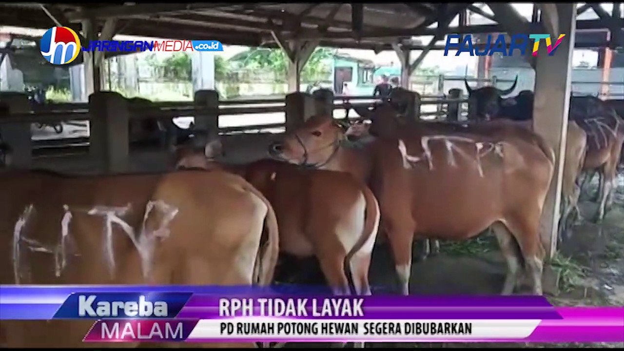 PD Rumah Potong Hewan  Segera Dibubarkan
