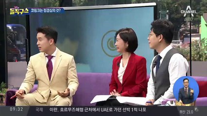 ‘키맨’ 조국 조카 구속…코링크는 누구 것?