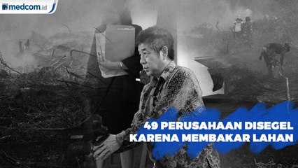 49 Perusahaan Disegel Karena Membakar Lahan