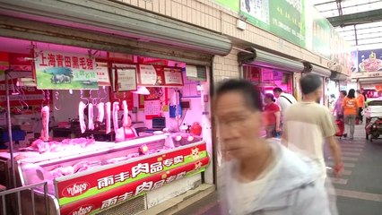 "돼지고기 값 급등" 아프리카 돼지열병이 중국에 미친 영향 / YTN
