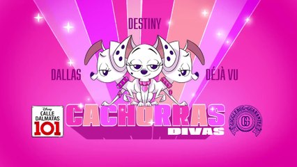 Cachorras divas | Calle Dálmatas 101