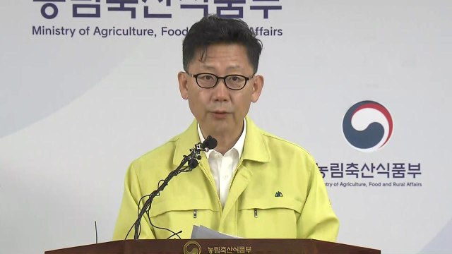 김현수 돼지열병 위기경보 최고수준인 '심각' 단계로 격상 / YTN