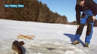 Everyone should watch this Fishermen's video - Amazing Net Fishing Under Ice Catch Big Fish