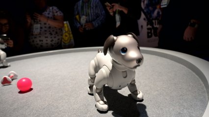 AI: Our New Best Friend