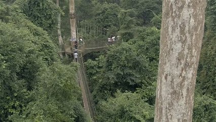 Sights with Heights: Canopy Walk in Ghana