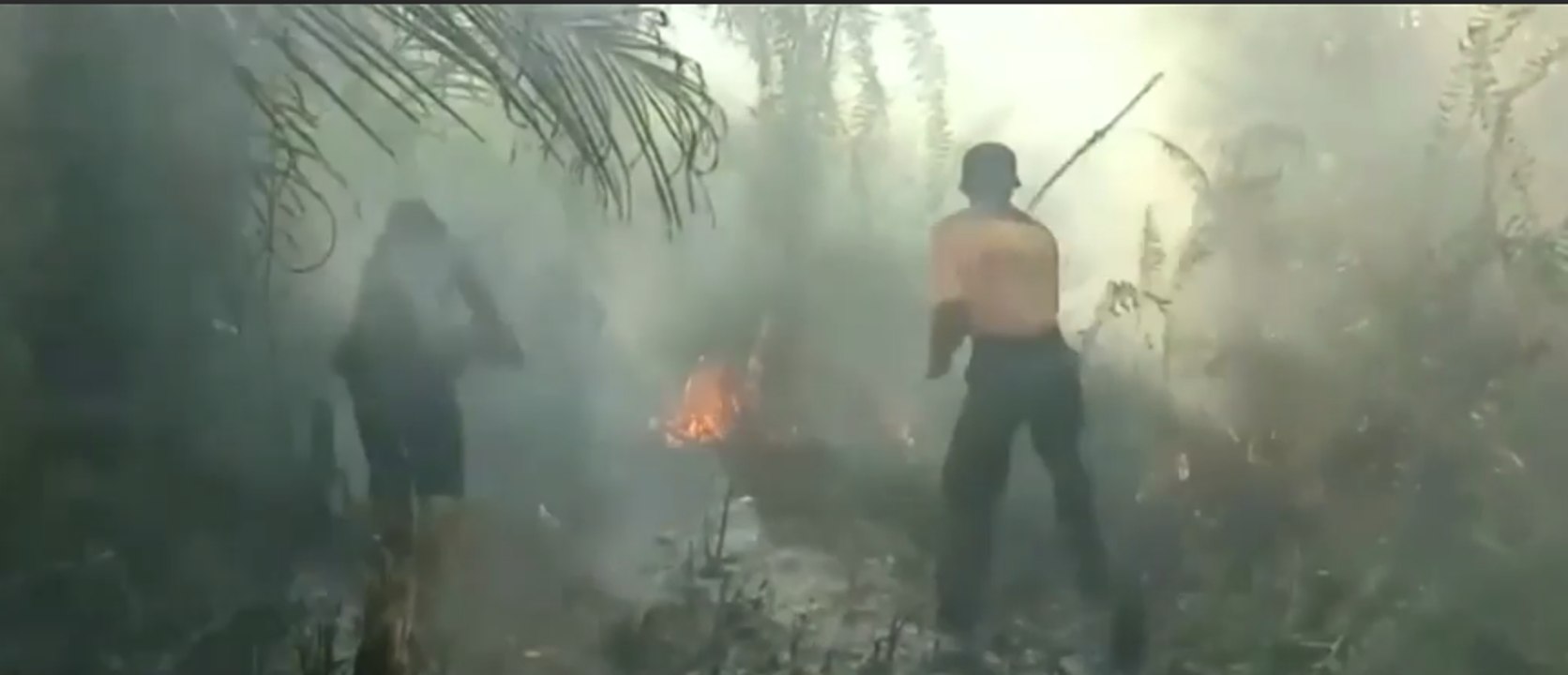 Kebakaran hutan: Sebagian Besar Karena Ulah Manusia