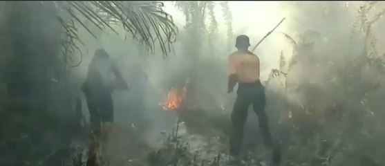 Kebakaran hutan: Sebagian Besar Karena Ulah Manusia