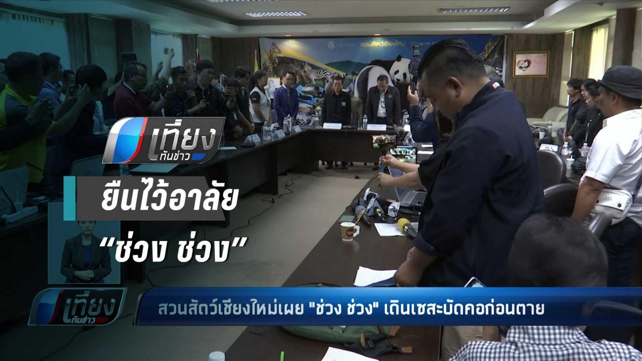สวนสัตว์เชียงใหม่ เผยต้องรอสัตวแพทย์จีน ร่วมผ่าพิสูจน์แพนด้า “ช่วง ช่วง” - เที่ยงทันข่าว