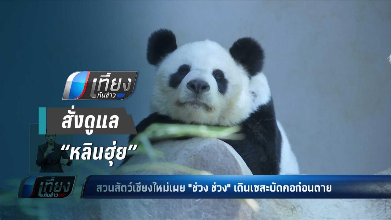 “วราวุธ” เสียใจ “ช่วงช่วง” ตาย รอจีนชันสูตร กำช...