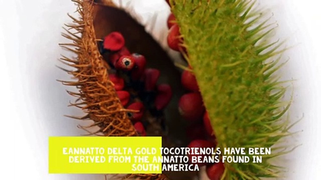 Buy Online Vitamin E capsules