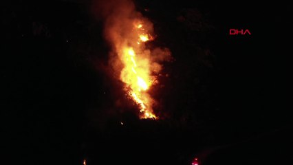 Bodrum’da 10 hektar yandı; yeşil siyaha büründü