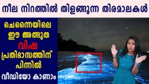 ഭീതിപടര്‍ത്തി ചെന്നൈ തീരത്ത് അത്ഭുത വിഷ പ്രതിഭാസം | #BioLuminence | Boldsky Malayalam