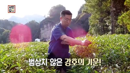 [선공개] 티 소믈리에 갑부와 차가 만나면 연매출 5억원! #갑부의 대박 비법 대.공.개.