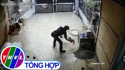 THVL | Chuyện cảnh báo: Tái diễn nạn trộm cắp vật nuôi