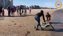Ils sauvent un bébé phoque juste après qu’un pêcheur lui  ait porté un coup de pied !